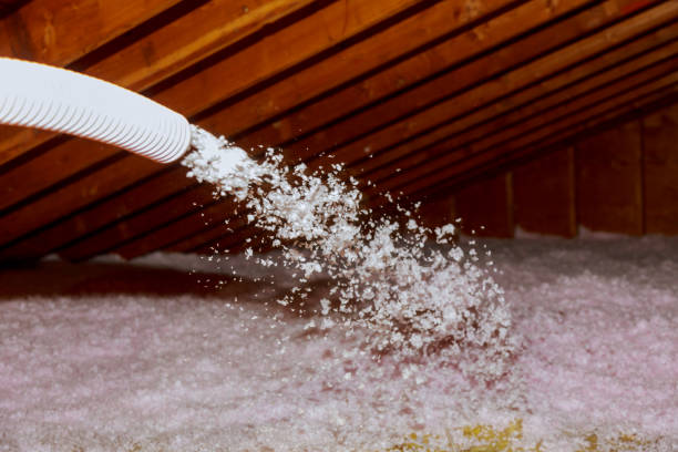 Best Spray Foam Insulation in Moss Point, MS
