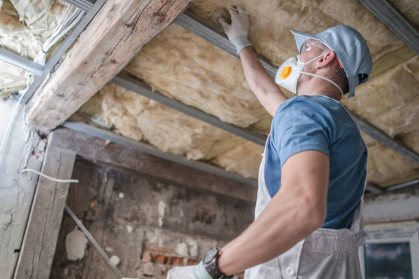 Best Fiberglass Insulation in Moss Point, MS