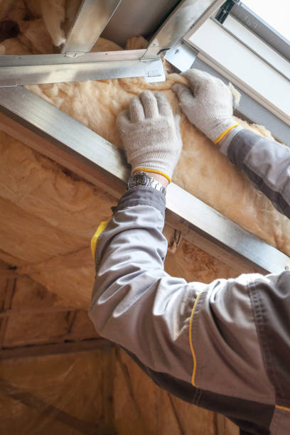 Best Geographic-Specific Insulation Services in Moss Point, MS
