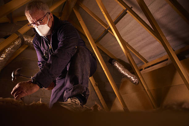 Types of Insulation We Offer in Moss Point, MS