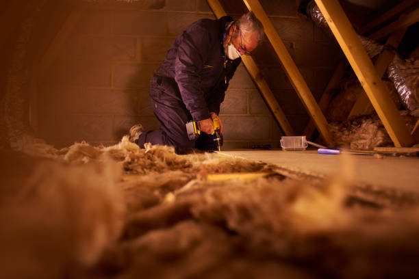 Best Cellulose Insulation in Moss Point, MS