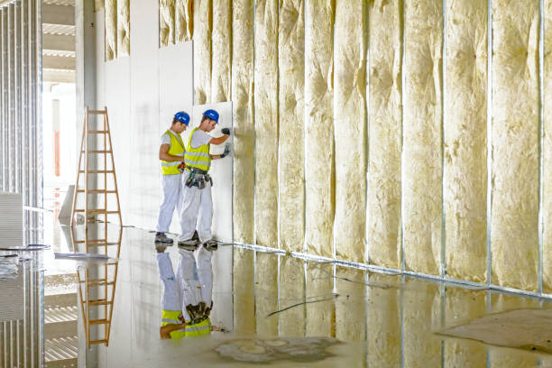 Best Insulation Maintenance and Repair in Moss Point, MS